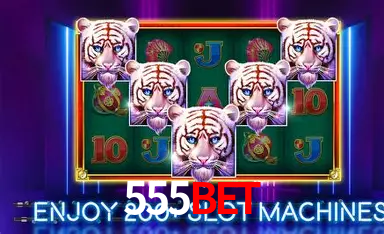 API Integration 555bet